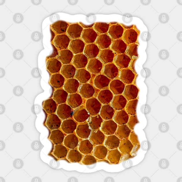 Honeycomb Sticker by dalyndigaital2@gmail.com